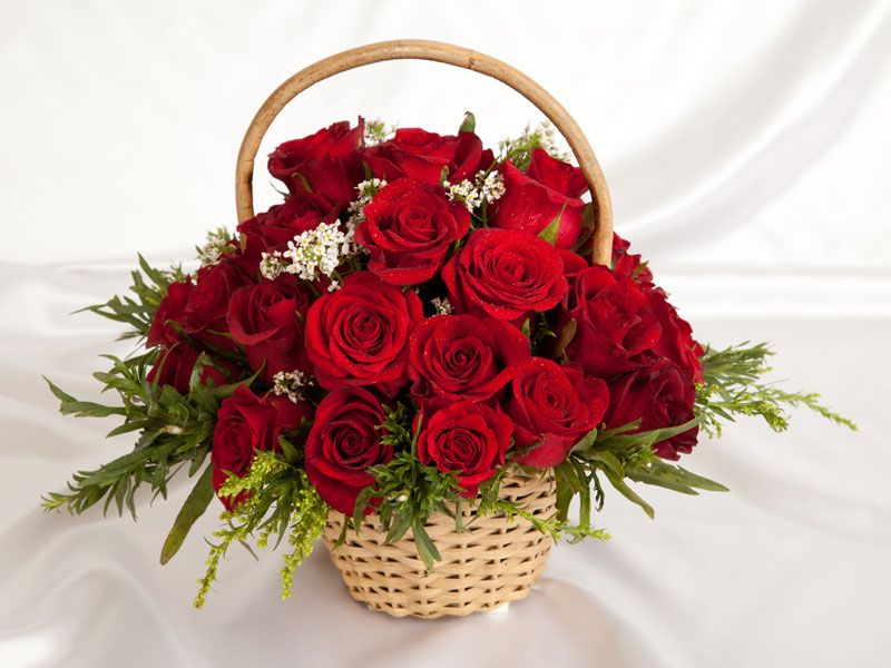 Top 5 Flowers Bouquet for Noida People