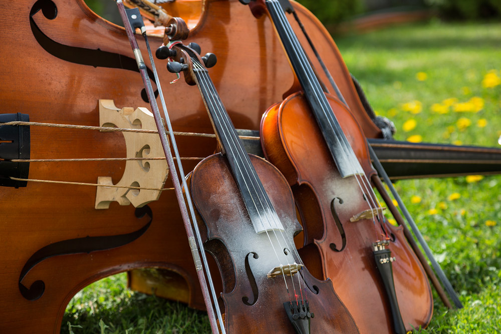 old stringed instruments