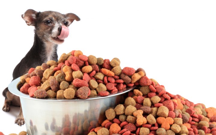 5 Ways To Buy The Best Pet Food